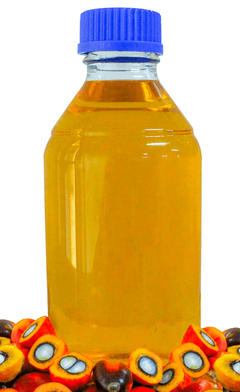 Aceite Crudo de Palmiste