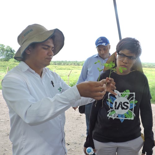 Fortalecimiento Ambiental en Colegios
